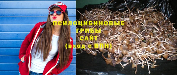 твердый Арсеньев