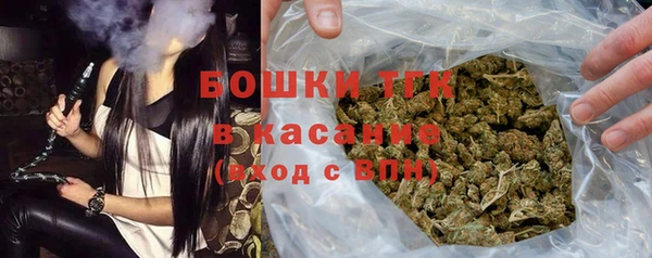 твердый Арсеньев