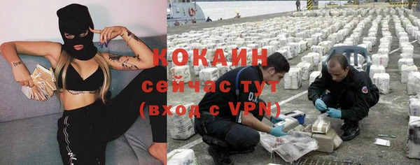 стафф Аркадак