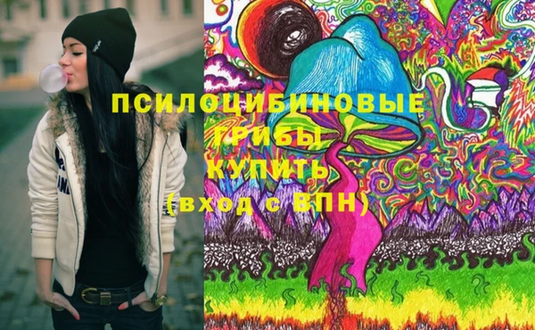 стафф Аркадак