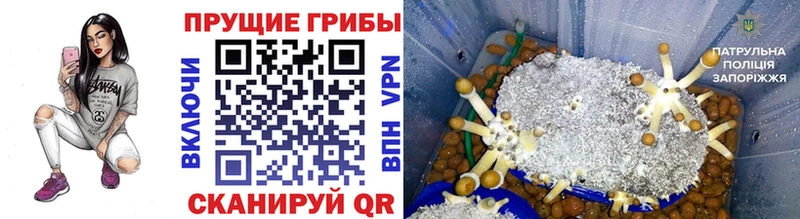 сколько стоит  Спасск-Дальний  Псилоцибиновые грибы мухоморы 