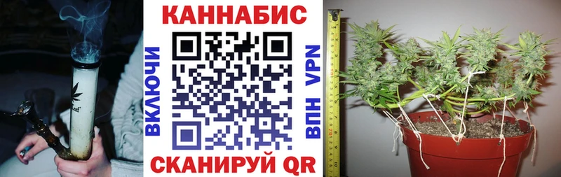 Шишки марихуана AK-47  купить наркотик  Спасск-Дальний 